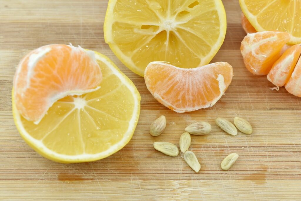 How To Grow A Tangerine Seed: Step-By-Step Guide 4 tangerine tree growing steps