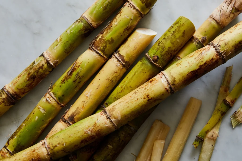 Is Sugarcane A Fruit Or Vegetable Or Grass? All You Need To Know 2 What is Sugarcane?