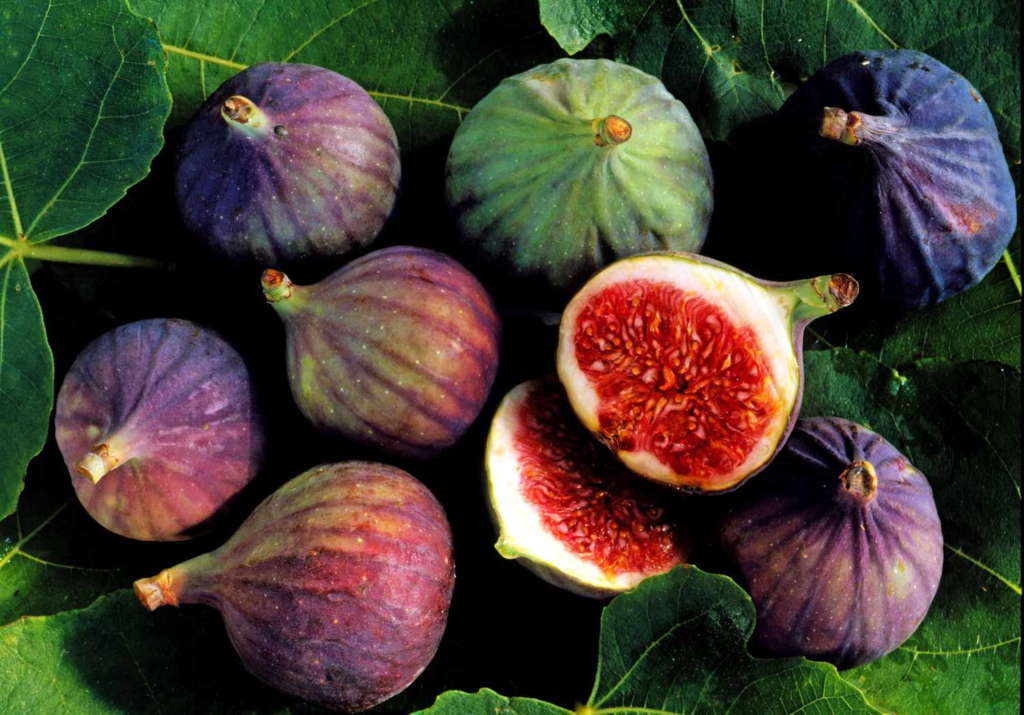 Which Dry Fruit Is Best For Skin? - To Make Your Skin Glow Naturally 22 Which Dry Fruit Is Best For Skin?