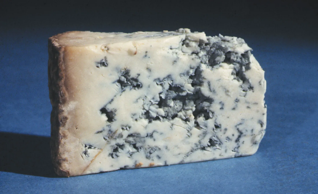 10 Best Cheese To Eat With Apples: The Perfect Pairings 6 image 48