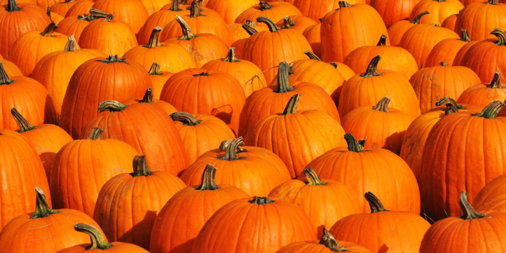 12 Vegetables That Are Actually Fruits (You Won't Believe) 10 image 41