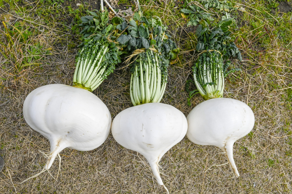 image 108