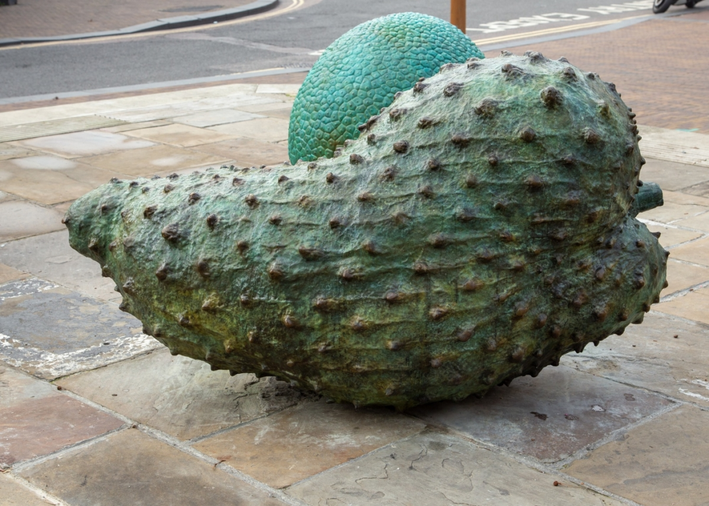 Sugar Apple Vs Soursop: Which Is More Healthier? 1 image 117
