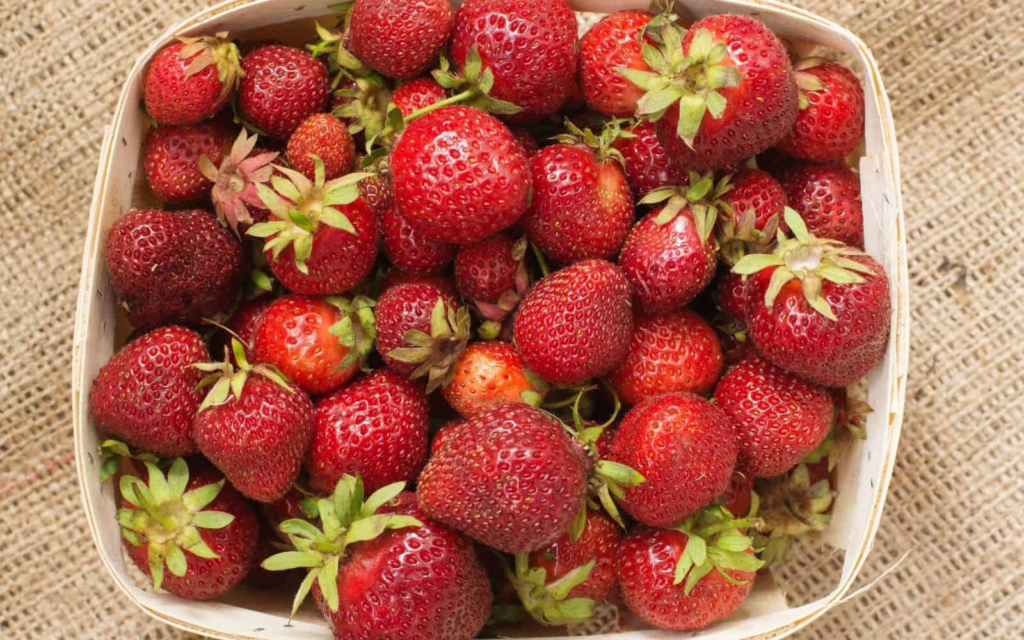 20 Popular Varieties Of Strawberries - And Which To Choose 2 image 137
