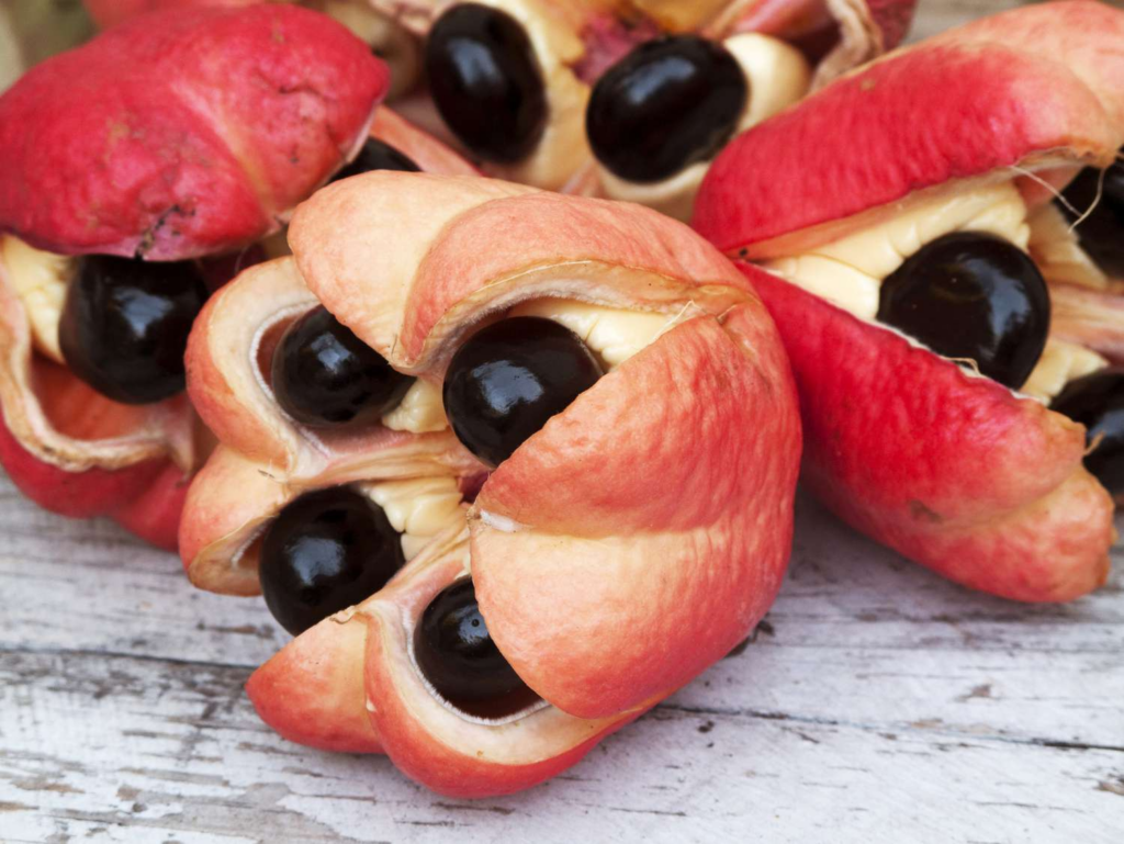 What Are The Rarest Fruit In The World? Here Are The Top 15 11 image 8