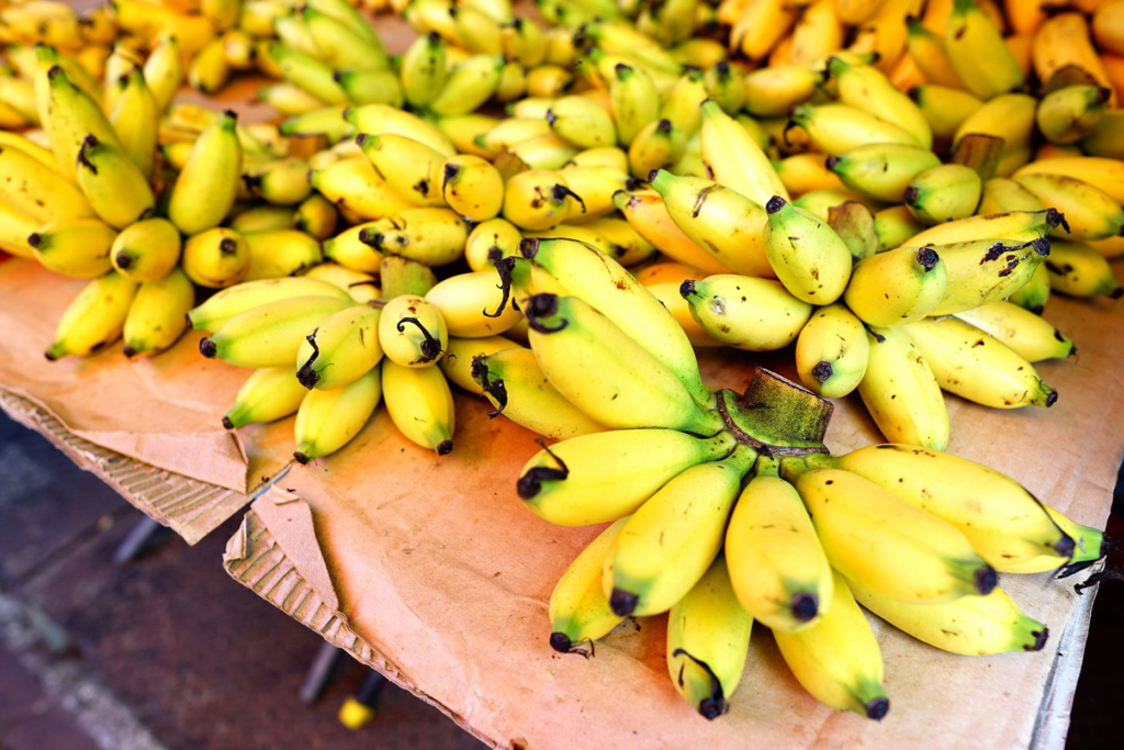 7 Best Tasting Banana Varieties Apart From Cavendish Banana 4 image 82