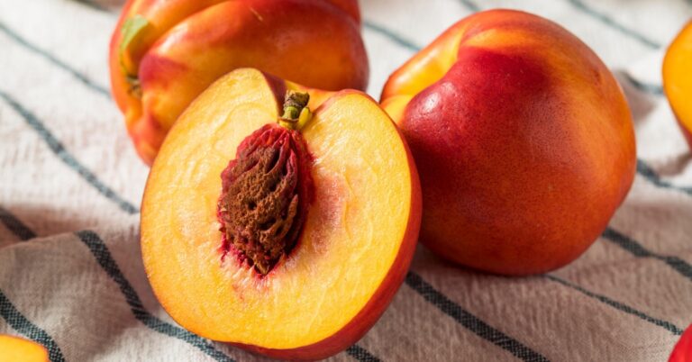 How To Eat A Nectarine Properly | The Right Way