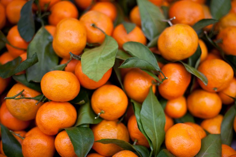 The 15 Types Of Tangerines (With Pictures)