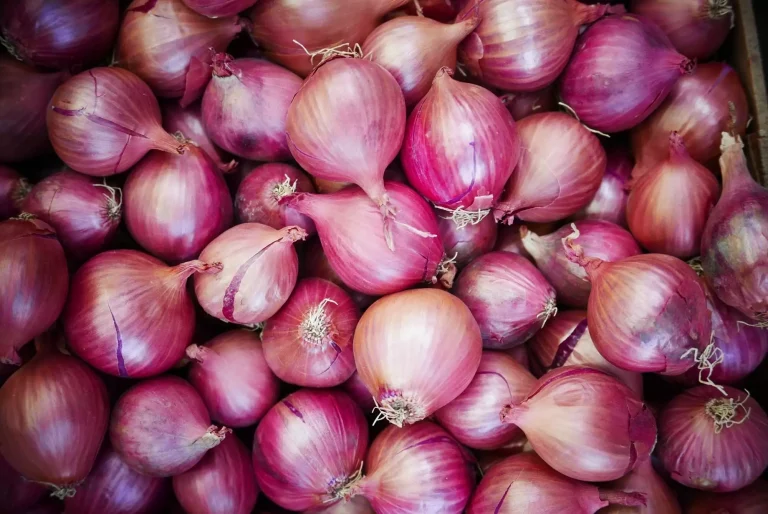 Is Onion A Fruit Or A Vegetable? | The Complete Explanation