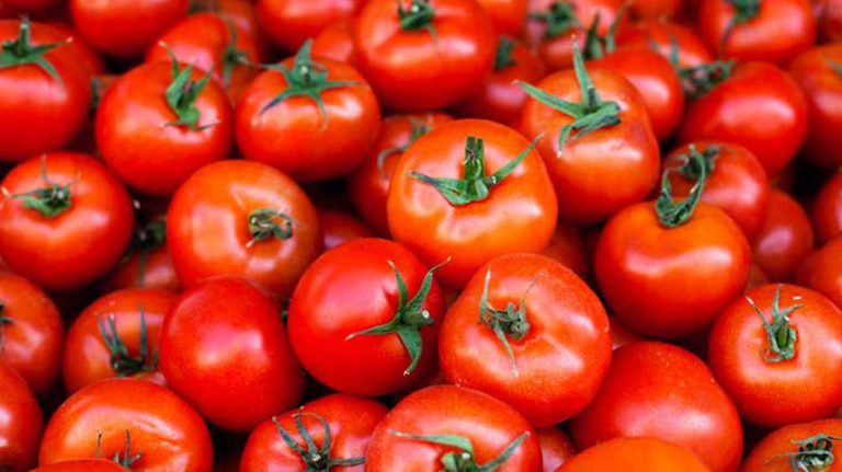 Is Tomato a Fruit Or A Vegetable? | The Definitive Explanation