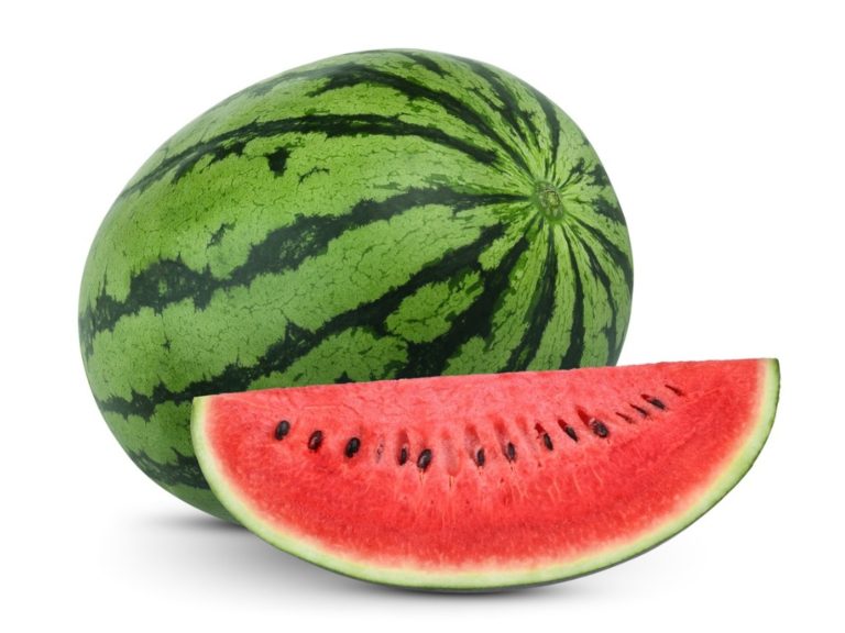 15 Best Fruits And Vegetables For Dogs To Eat