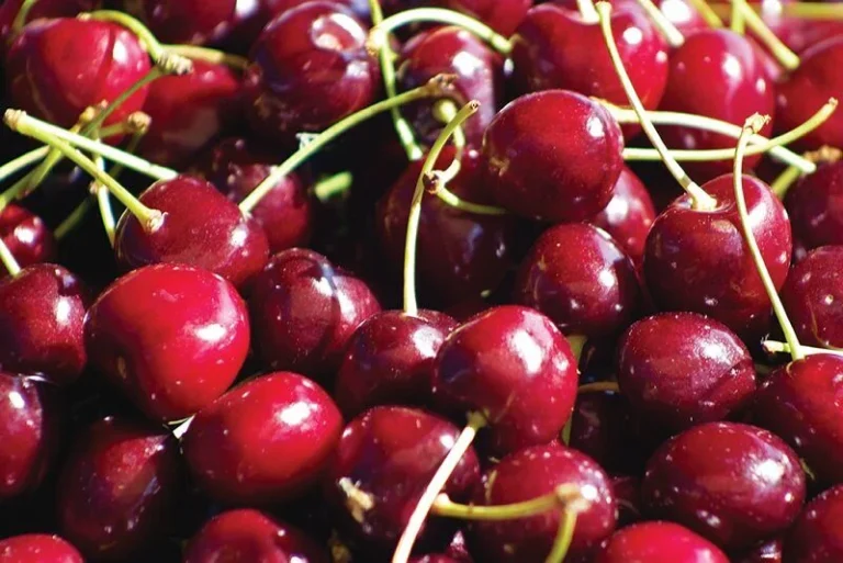 10 Benefits Of Cherries For Hair Growth: And How To Use It