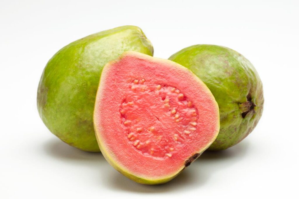 Can Dogs Eat Guava Fruit? Everything You Need To Know