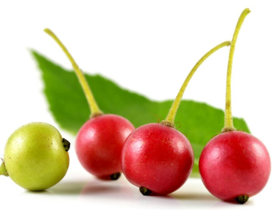 Panama Berry