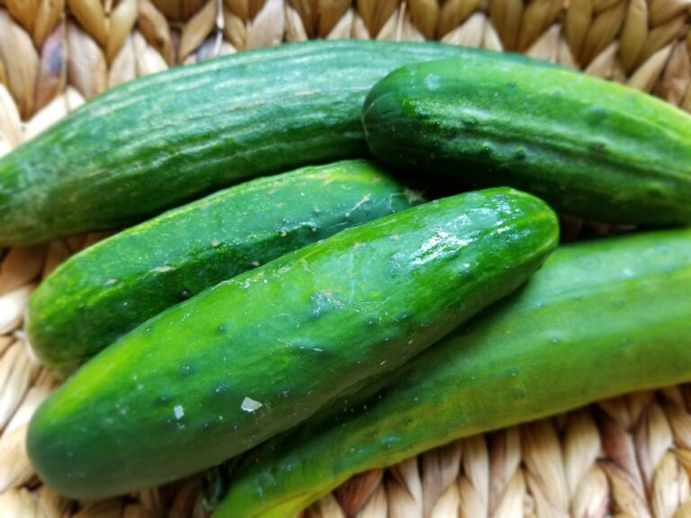 Are Cucumbers Good For Gastritis? All You Need To Know
