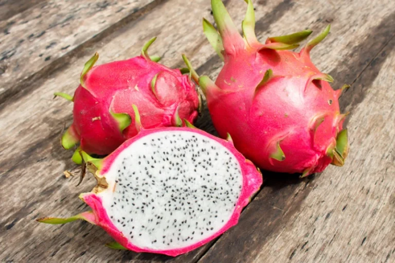 How To Grow Dragon Fruit From Seeds And Cuttings