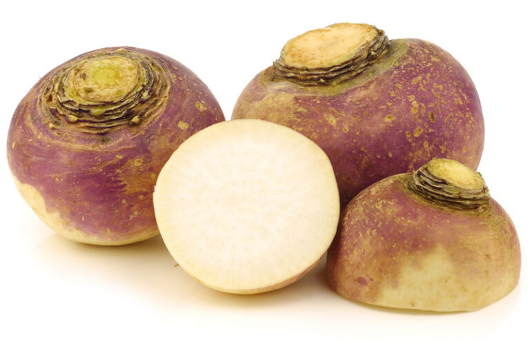 Can Dogs Eat Rutabaga? All You Need To Know