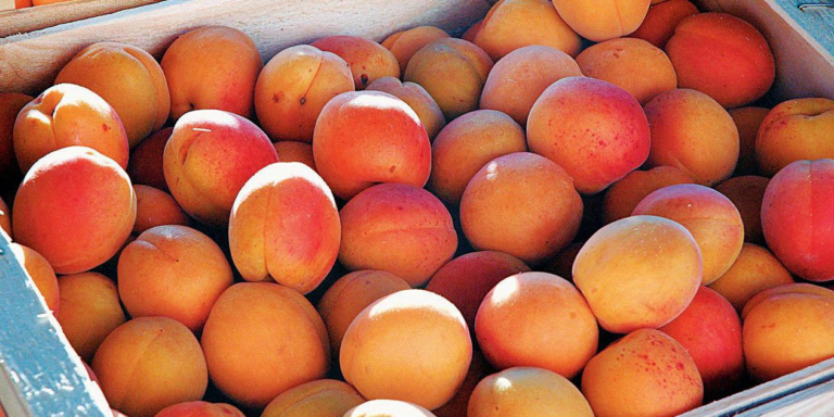 15 Fruits That Are Not Round – A List of Uniquely Shaped Fruits