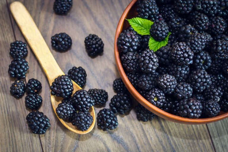 Are Blackberries Acidic Or Alkaline? All You Need To Know