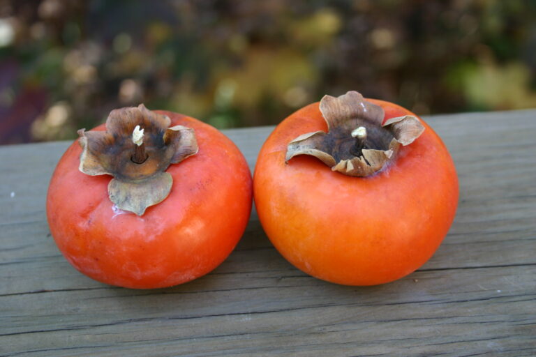 How To Remove Astringency from Persimmon Fruits