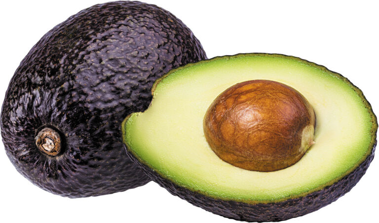 Is Avocado A Tropical Fruit? All You Need To Know