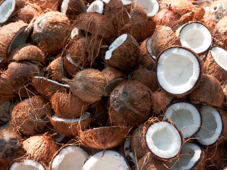 Is Coconut A Tropical Fruit? All You Need To Know