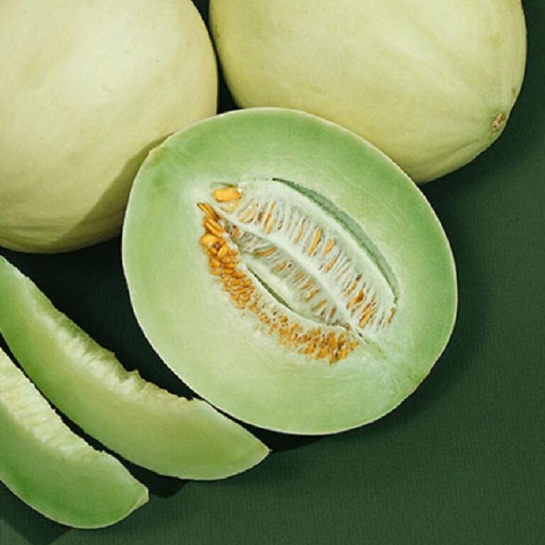 Is Honeydew A Tropical Fruit? All You Need To Know