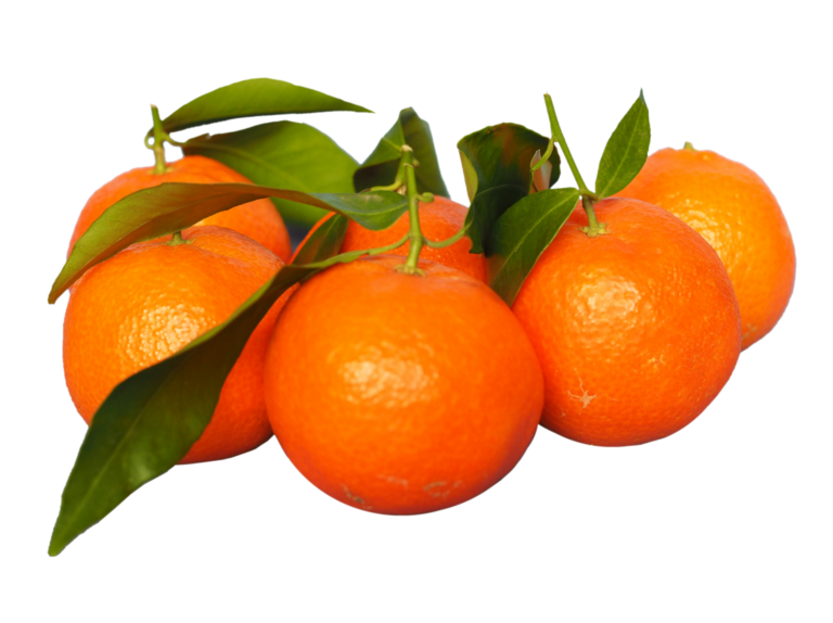 Are Tangerines Good For Pregnancy? Is It Safe?