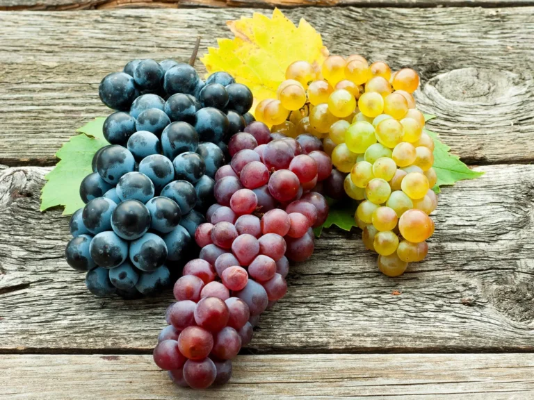 Are Grapes Good For Weight Loss? All You Need To Know