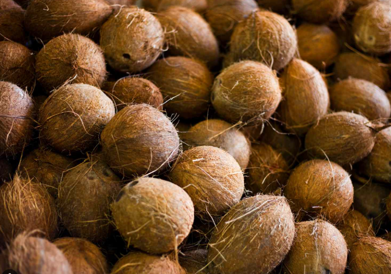 Keeping it Fresh: How To Store Fresh Coconut Properly