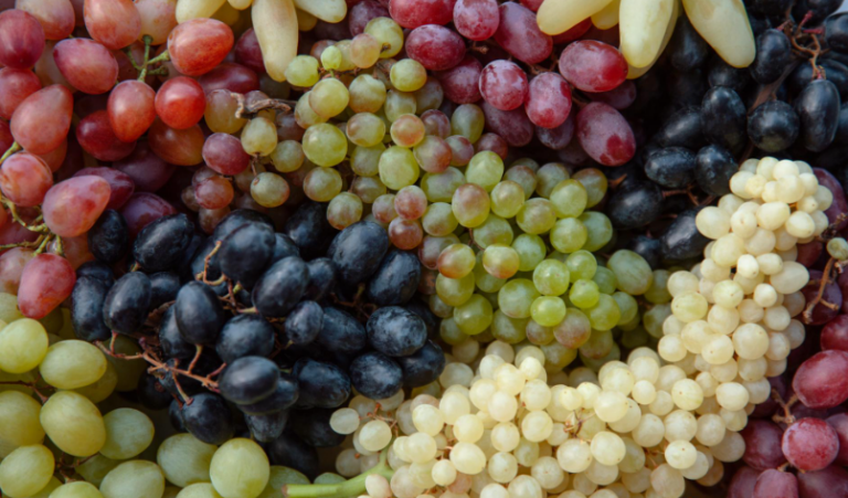 10 Shocking Fruits That Are Technically Berries