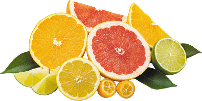 The Top 10 Evidence-Based Health Benefits of Citrus Fruits