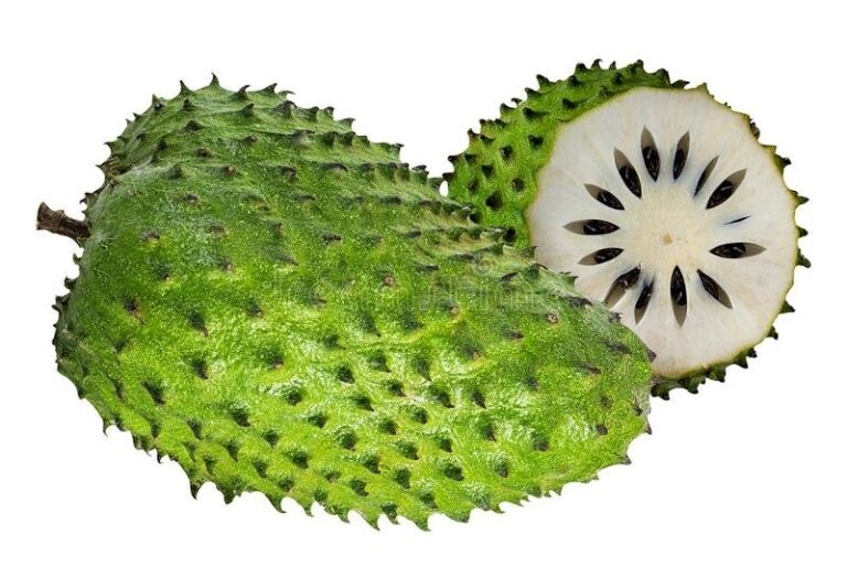 When Is Soursop In Season Around The World?