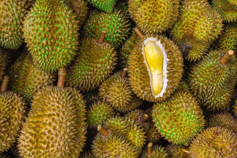 10 Surprising Reasons Why Durian Is The King Of Fruits
