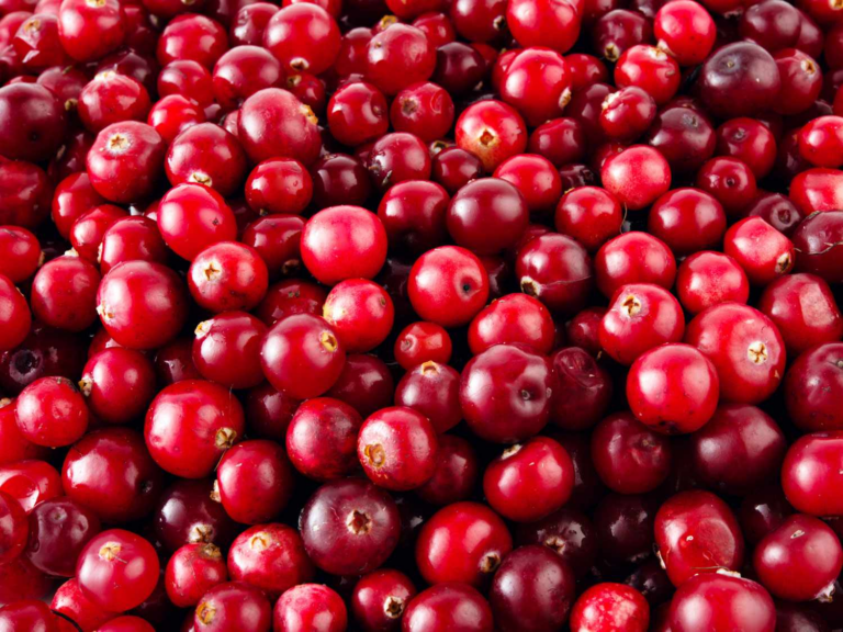 35 Red Colour Fruits [With Pictures] & Their Health Benefits