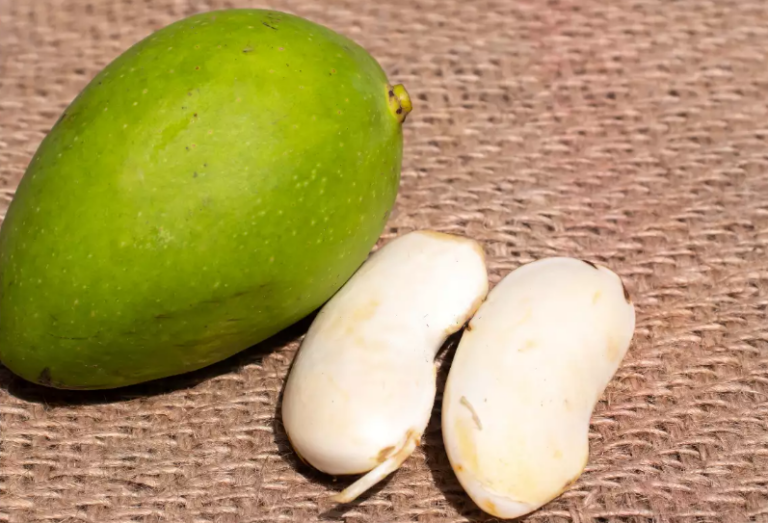 5 Key Differences Between Fruit And Seed