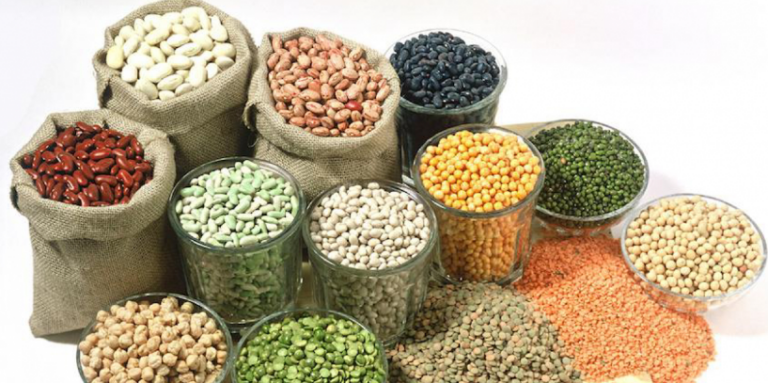 Are Fruit Seeds Edible? Are They Safe To Eat?
