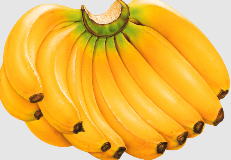 10 Incredible Reasons Why Bananas Are A Superfood