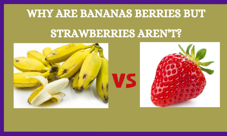 Why Are Bananas Berries But Strawberries Aren’t?