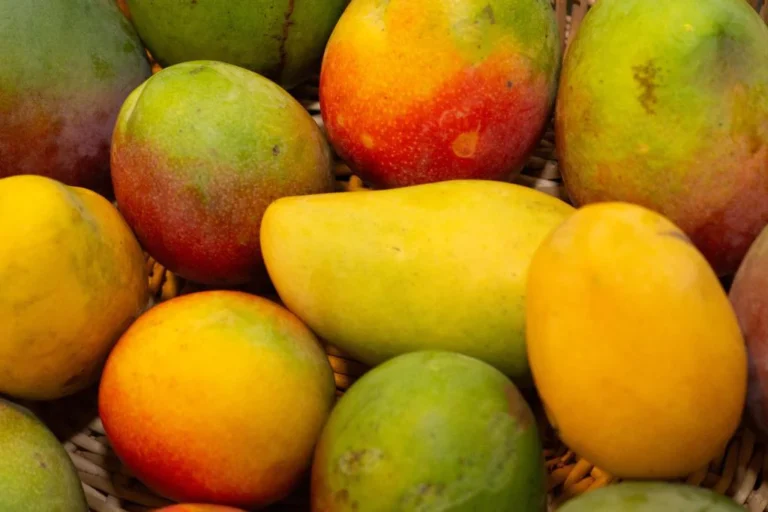 Is Mango A Natural Laxative? What Are Its Effects?