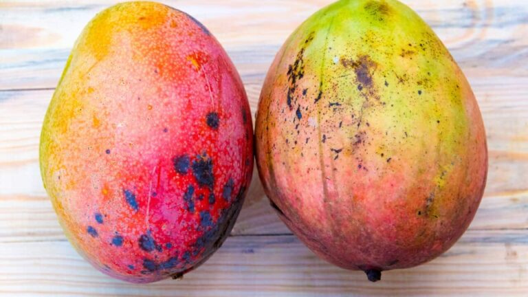 Good Mango Vs Bad Mango: How To Spot Them