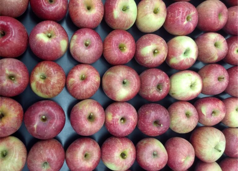 Are Fuji Apples Good For Baking? Everything You Need to Know