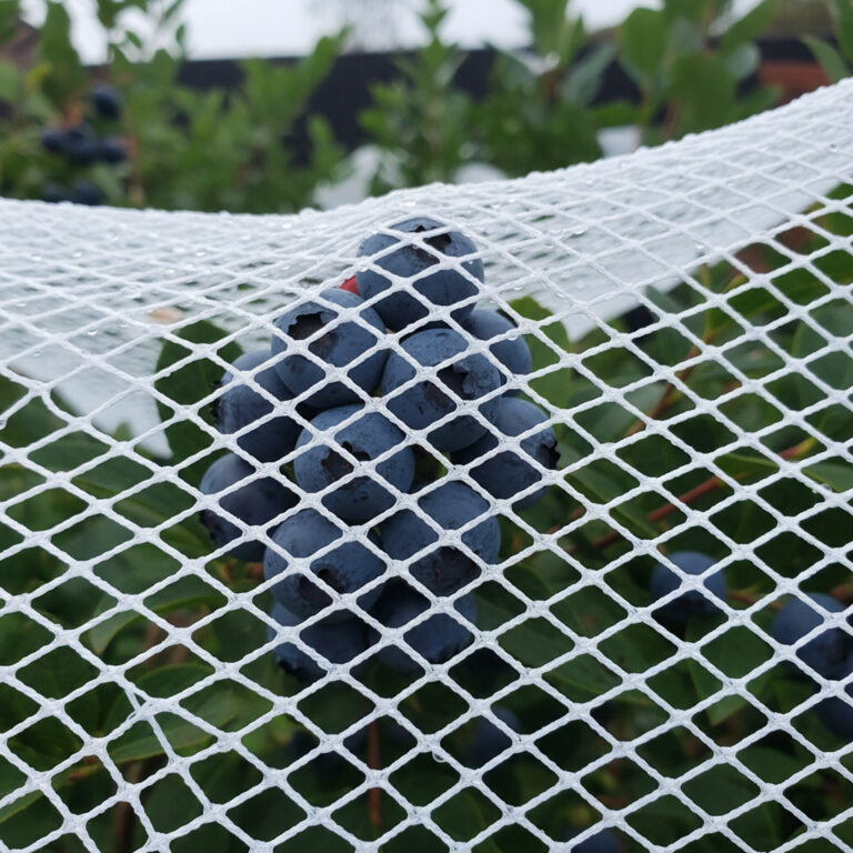 Why You Should Start Garden Fruit Netting Today