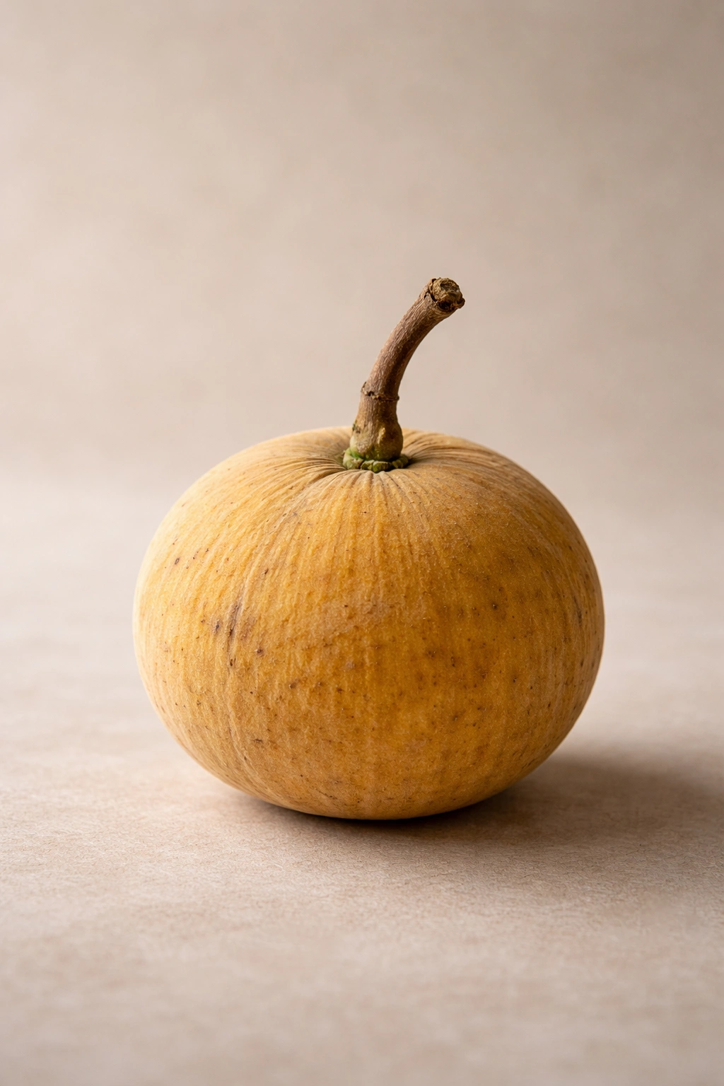 Santol fruit on plain background suggesting caution