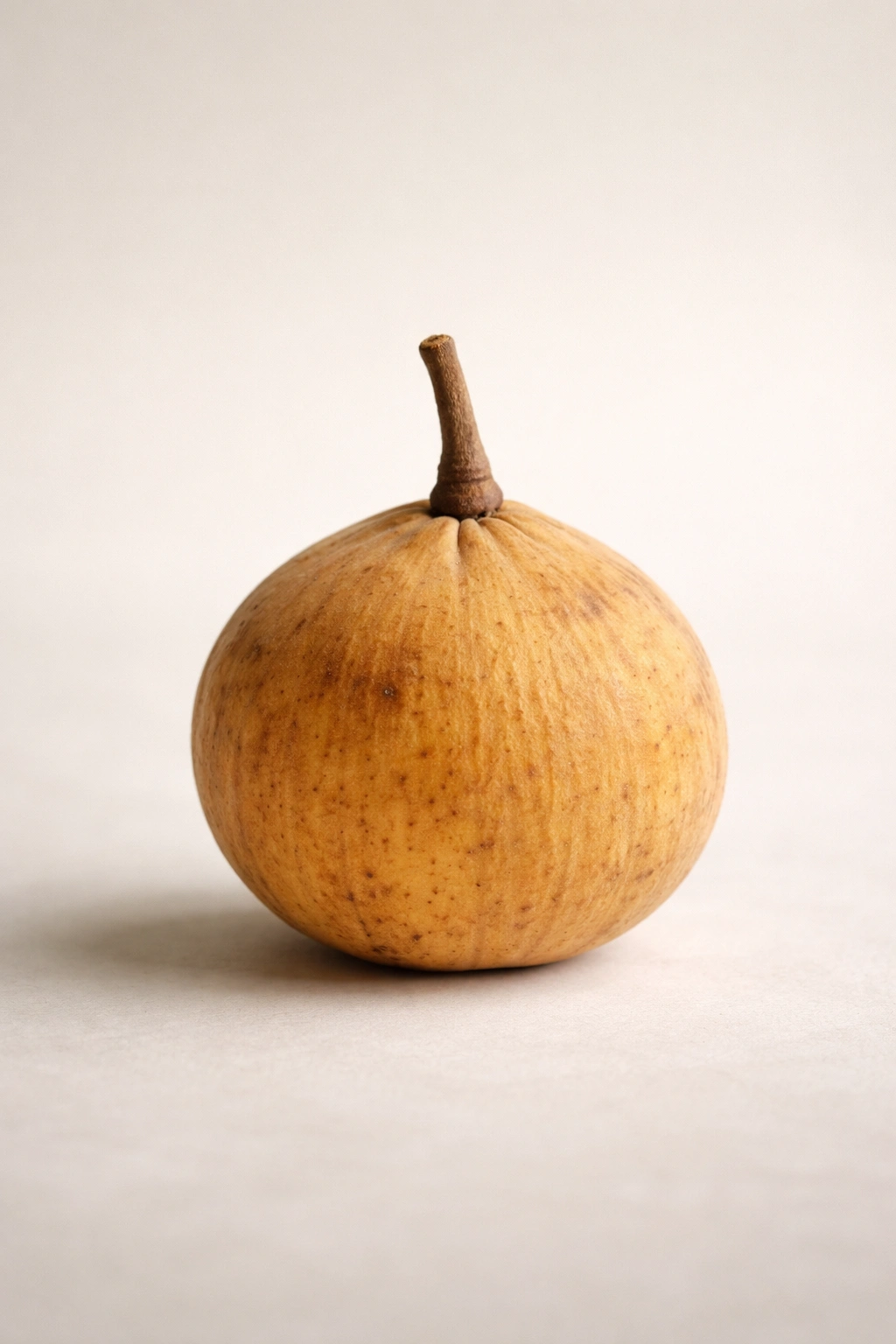 Fresh Santol fruit as expert guidance subject
