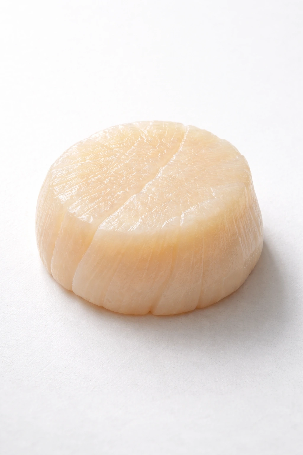 Dry sea scallop on clean surface showing firm texture