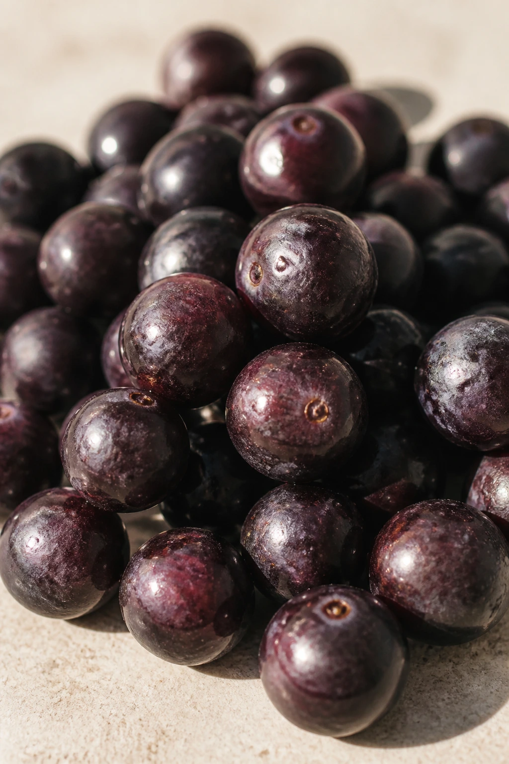 Macro shot of acai berries in warm daylight