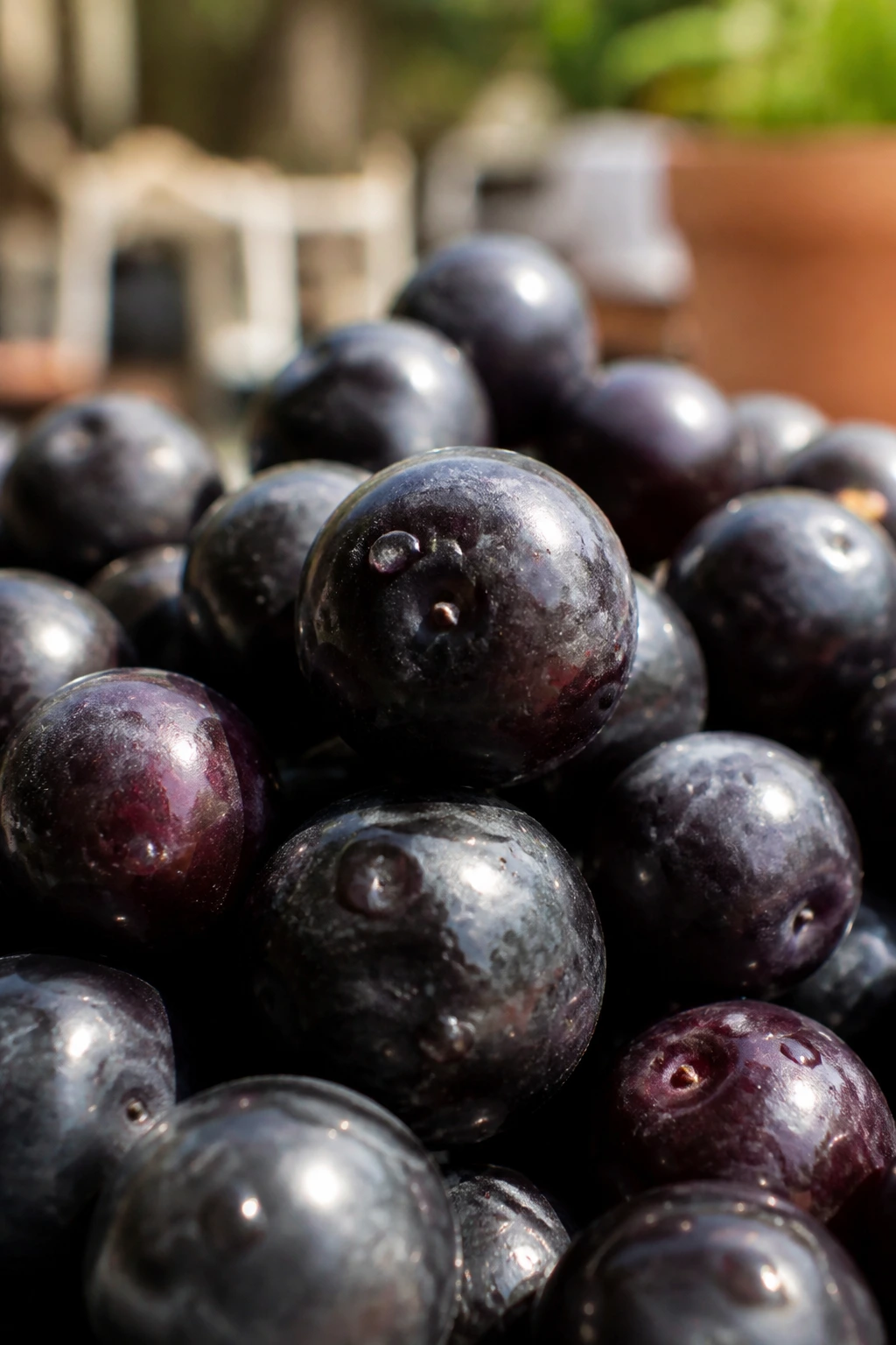 Exploring the pH Balance of Acai: Is Acai Acidic or Alkaline? 3 Close-up of acai berries on an outdoor wooden table in bright sunlight.