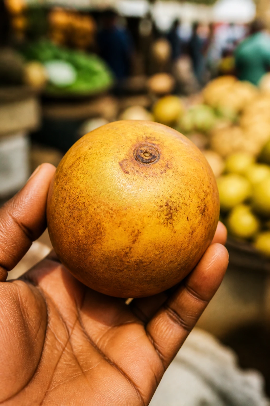Close-up of a ripe agbalumo held in a hand with warm sunlight