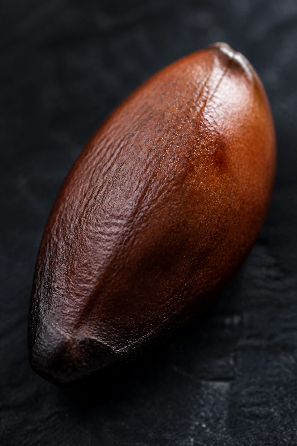 Are Fruit Seeds Edible? Are They Safe To Eat? 3 Apple seed close-up with moody lighting